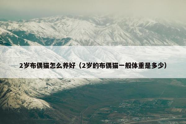 2岁布偶猫怎么养好（2岁的布偶猫一般体重是多少）