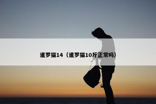 暹罗猫14（暹罗猫10斤正常吗）