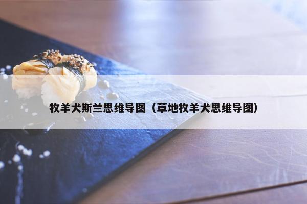 牧羊犬斯兰思维导图（草地牧羊犬思维导图）
