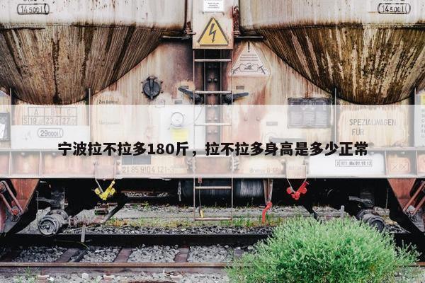 宁波拉不拉多180斤，拉不拉多身高是多少正常