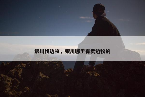 银川找边牧，银川哪里有卖边牧的