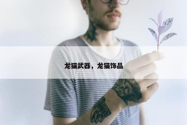 龙猫武器，龙猫饰品
