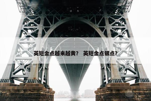 英短金点越来越黄？ 英短金点银点？