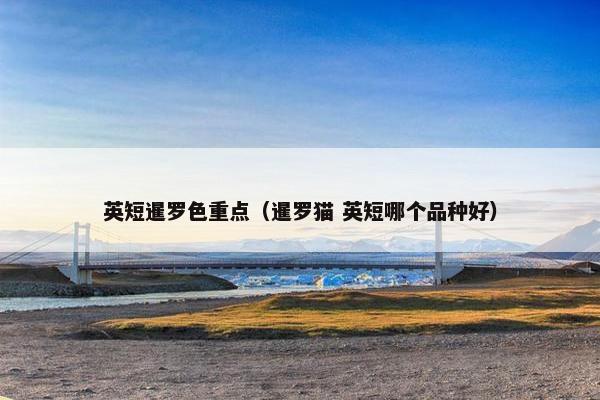 英短暹罗色重点（暹罗猫 英短哪个品种好）