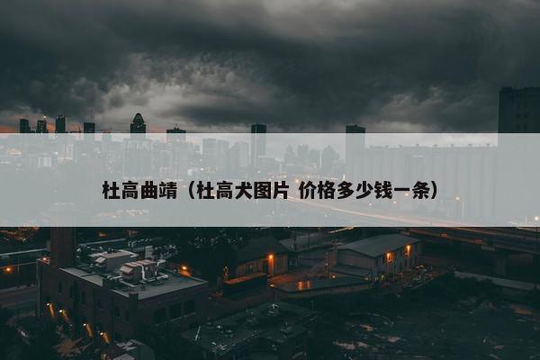 杜高曲靖（杜高犬图片 价格多少钱一条）