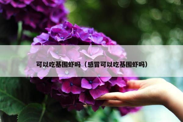 可以吃基围虾吗（感冒可以吃基围虾吗）