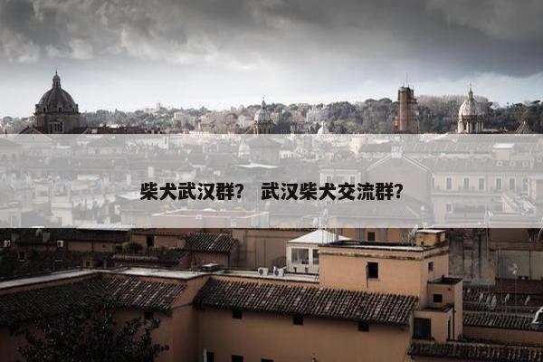 柴犬武汉群？ 武汉柴犬交流群？