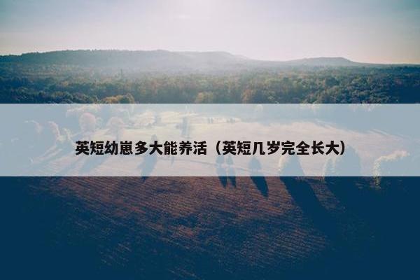 英短幼崽多大能养活（英短几岁完全长大）