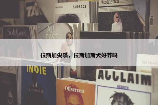 拉斯加尖嘴，拉斯加斯犬好养吗
