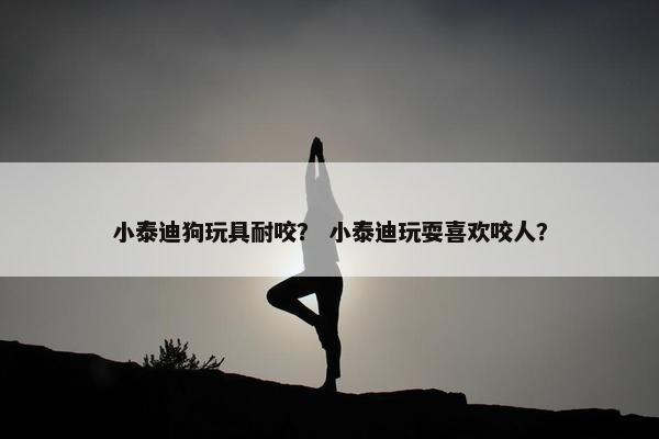 小泰迪狗玩具耐咬？ 小泰迪玩耍喜欢咬人？
