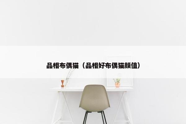 品相布偶猫（品相好布偶猫颜值）