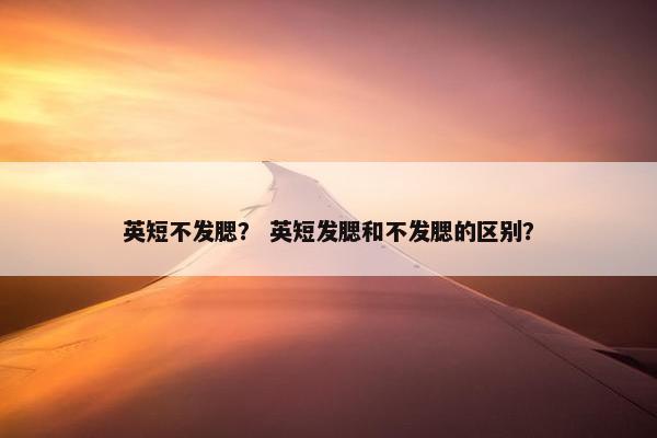英短不发腮？ 英短发腮和不发腮的区别？