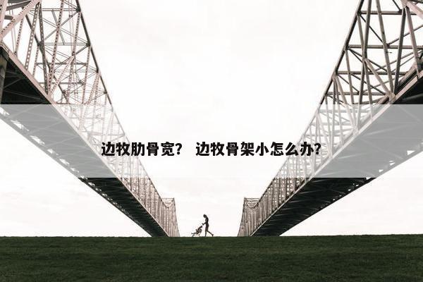 边牧肋骨宽？ 边牧骨架小怎么办？