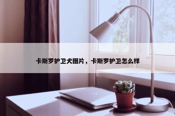卡斯罗护卫犬图片，卡斯罗护卫怎么样