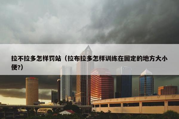 拉不拉多怎样罚站（拉布拉多怎样训练在固定的地方大小便?）