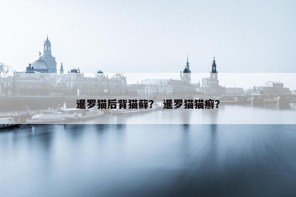 暹罗猫后背猫藓？ 暹罗猫猫癣？