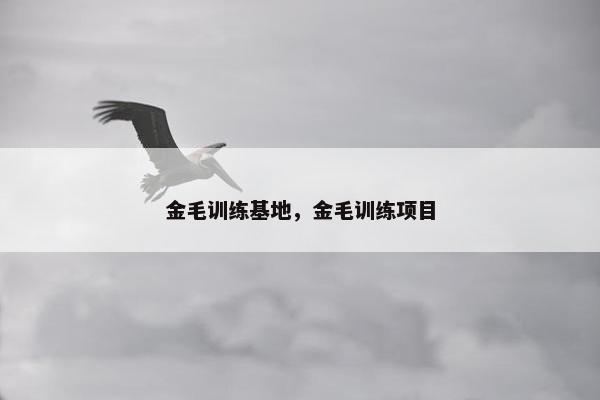 金毛训练基地，金毛训练项目