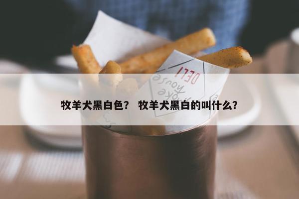 牧羊犬黑白色？ 牧羊犬黑白的叫什么？