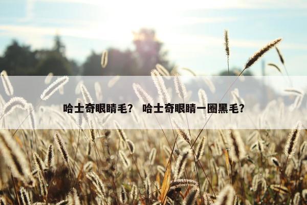 哈士奇眼睛毛？ 哈士奇眼睛一圈黑毛？