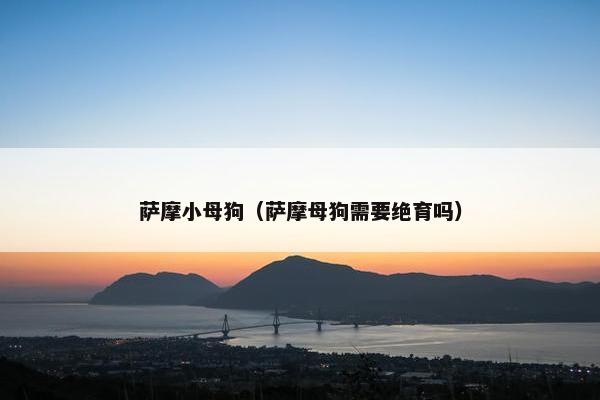萨摩小母狗（萨摩母狗需要绝育吗）