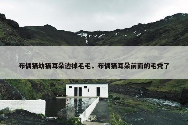 布偶猫幼猫耳朵边掉毛毛，布偶猫耳朵前面的毛秃了
