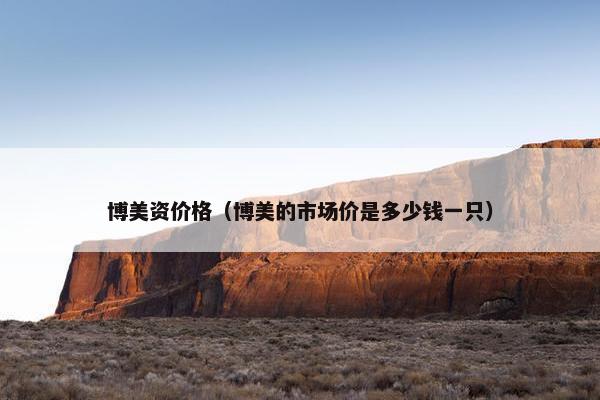 博美资价格（博美的市场价是多少钱一只）