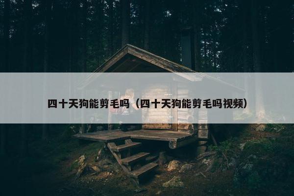 四十天狗能剪毛吗（四十天狗能剪毛吗视频）