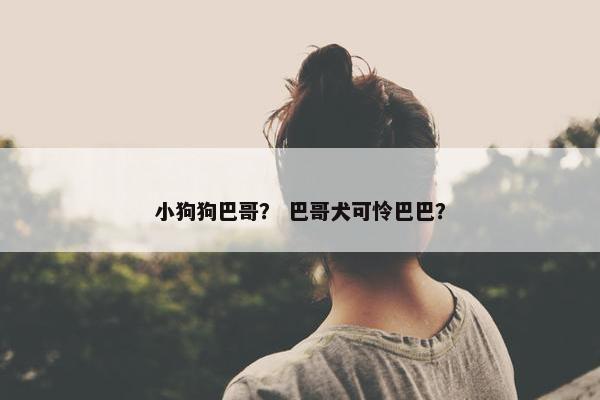 小狗狗巴哥？ 巴哥犬可怜巴巴？
