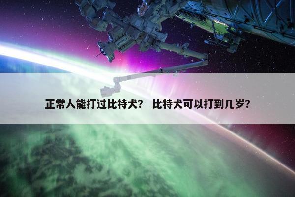 正常人能打过比特犬？ 比特犬可以打到几岁？