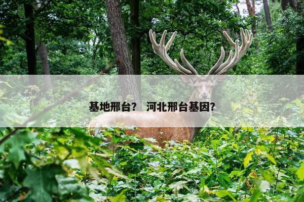 基地邢台？ 河北邢台基因？