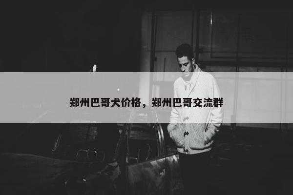 郑州巴哥犬价格，郑州巴哥交流群