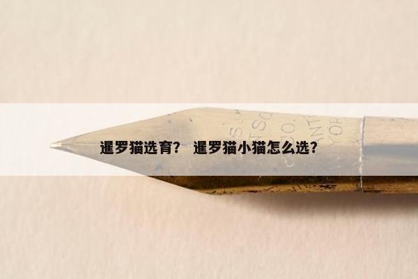 暹罗猫选育？ 暹罗猫小猫怎么选？