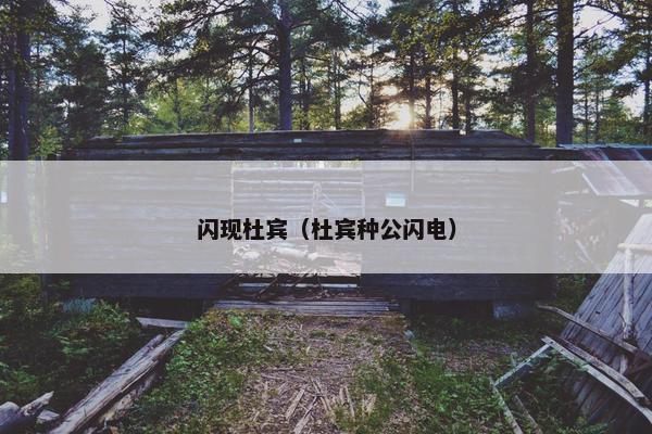 闪现杜宾（杜宾种公闪电）