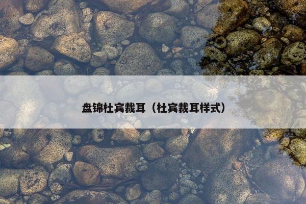 盘锦杜宾裁耳（杜宾裁耳样式）