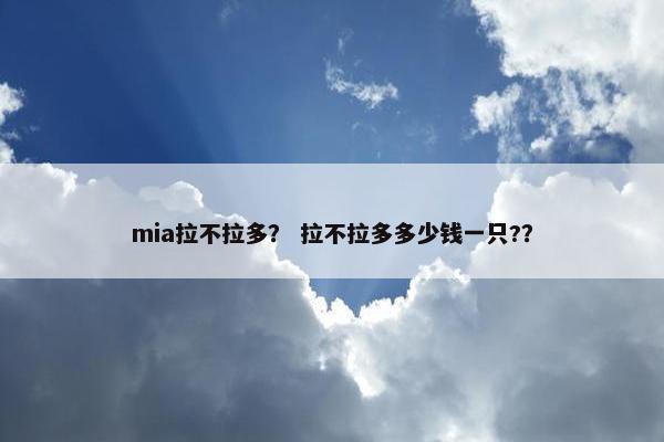 mia拉不拉多？ 拉不拉多多少钱一只?？