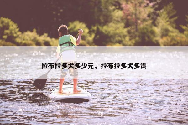 拉布拉多犬多少元，拉布拉多犬多贵