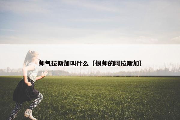 帅气拉斯加叫什么（很帅的阿拉斯加）
