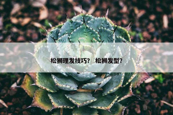 松狮理发技巧？ 松狮发型？