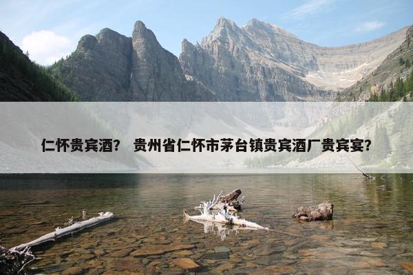 仁怀贵宾酒？ 贵州省仁怀市茅台镇贵宾酒厂贵宾宴？