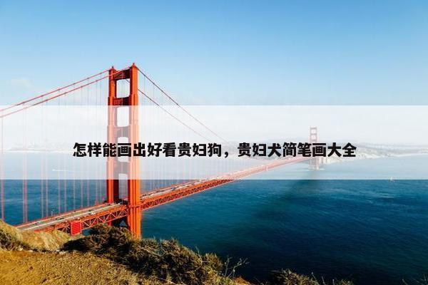 怎样能画出好看贵妇狗，贵妇犬简笔画大全