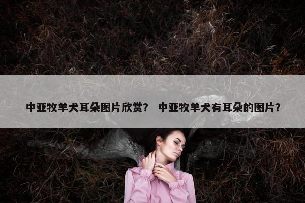 中亚牧羊犬耳朵图片欣赏？ 中亚牧羊犬有耳朵的图片？