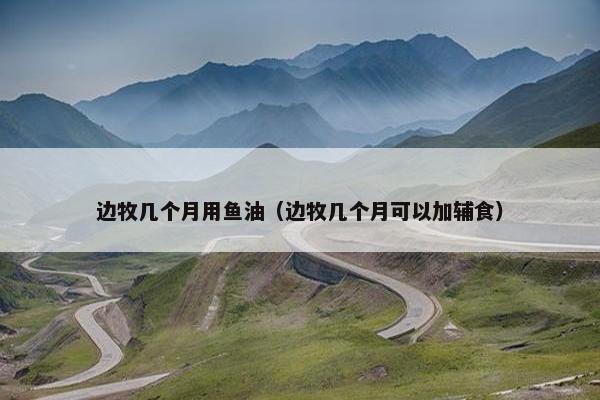 边牧几个月用鱼油（边牧几个月可以加辅食）