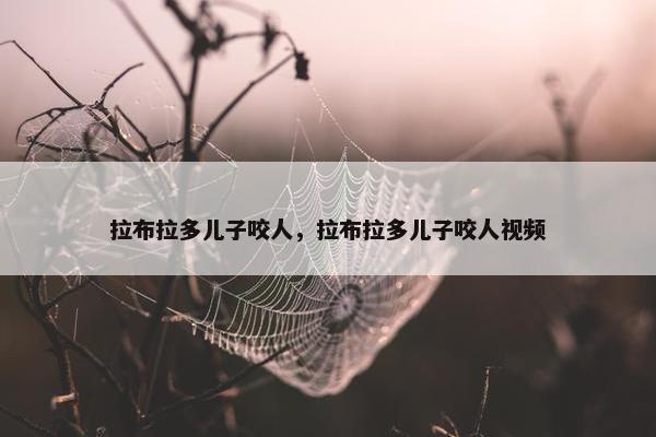 拉布拉多儿子咬人，拉布拉多儿子咬人视频