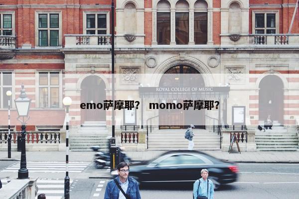emo萨摩耶？ momo萨摩耶？