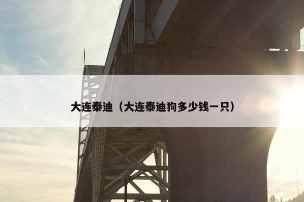 大连泰迪（大连泰迪狗多少钱一只）