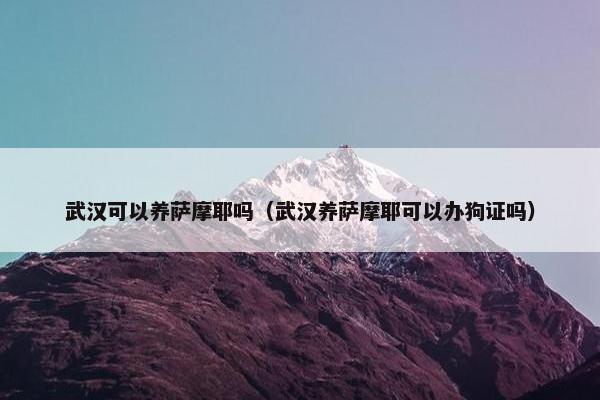 武汉可以养萨摩耶吗（武汉养萨摩耶可以办狗证吗）