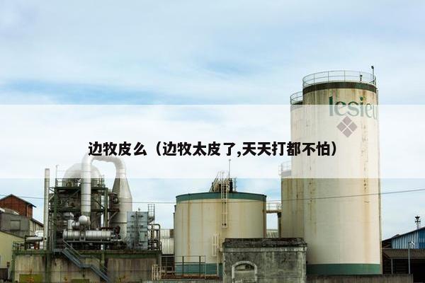 边牧皮么（边牧太皮了,天天打都不怕）