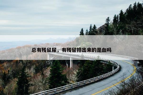 总有残留屎，有残留排出来的是血吗