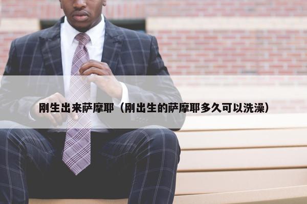 刚生出来萨摩耶（刚出生的萨摩耶多久可以洗澡）