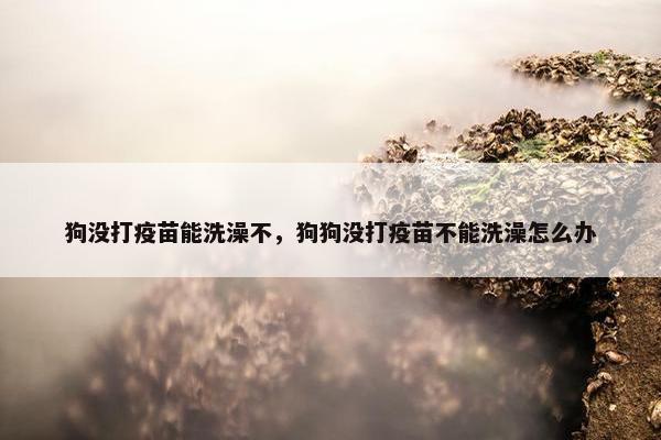 狗没打疫苗能洗澡不，狗狗没打疫苗不能洗澡怎么办